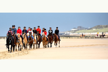 4-persoons woning op manege vlakbij strand op ponyhof Aagtekerke VMP096